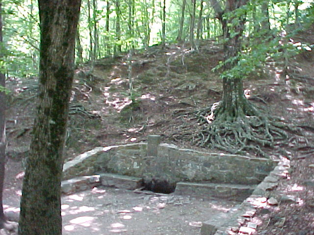 Tordera Tordera