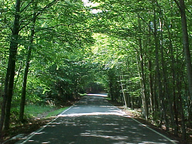 Fajeda a la Carretera de Sant Mar�al a Santa Fe